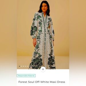 Farm Rio dress.  Green and white.  This season.  Never been worn